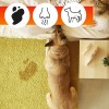 oa carpet care-02.jpg