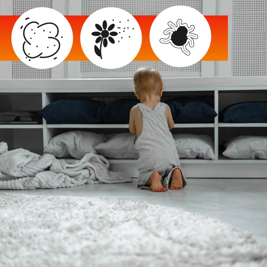 oa carpet care-03.jpg
