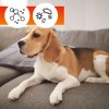 sofa protector-03 (1).jpg